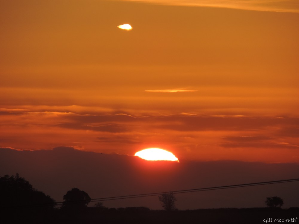 5 2015 10 10 DSCN6813 733 jpg sig