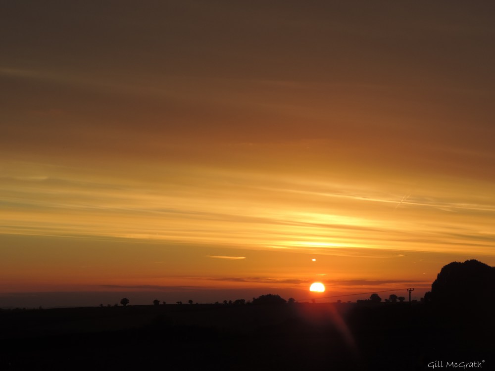 6 2015 10 10 DSCN6823 734.jpg sig