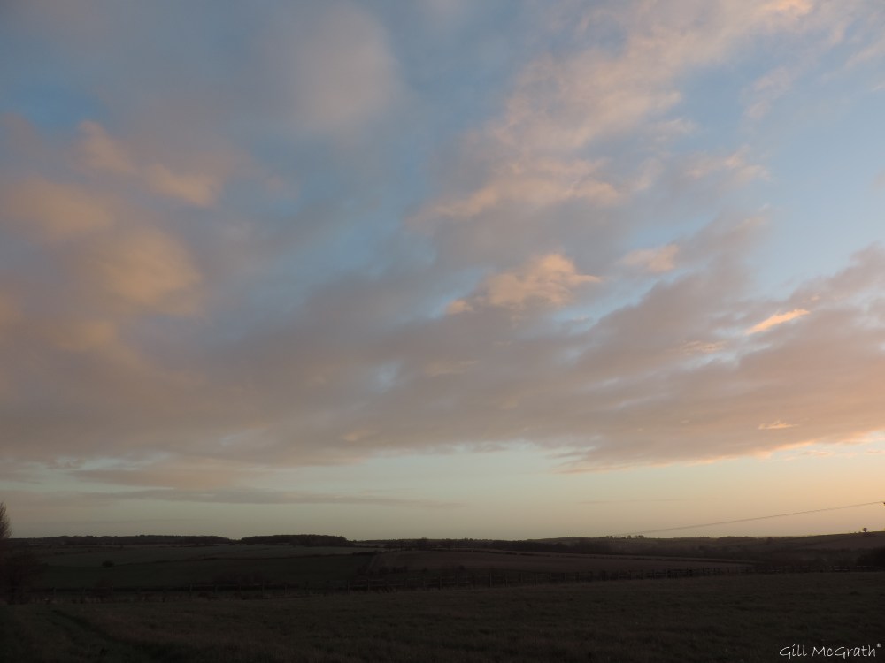 1 2015 11 27 light DSCN0070.jpg sig