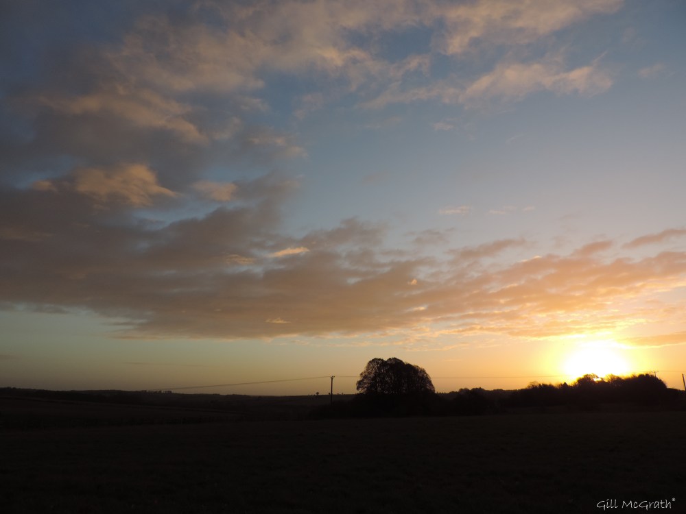 2 2015 11 27 light DSCN0071.jpg sig