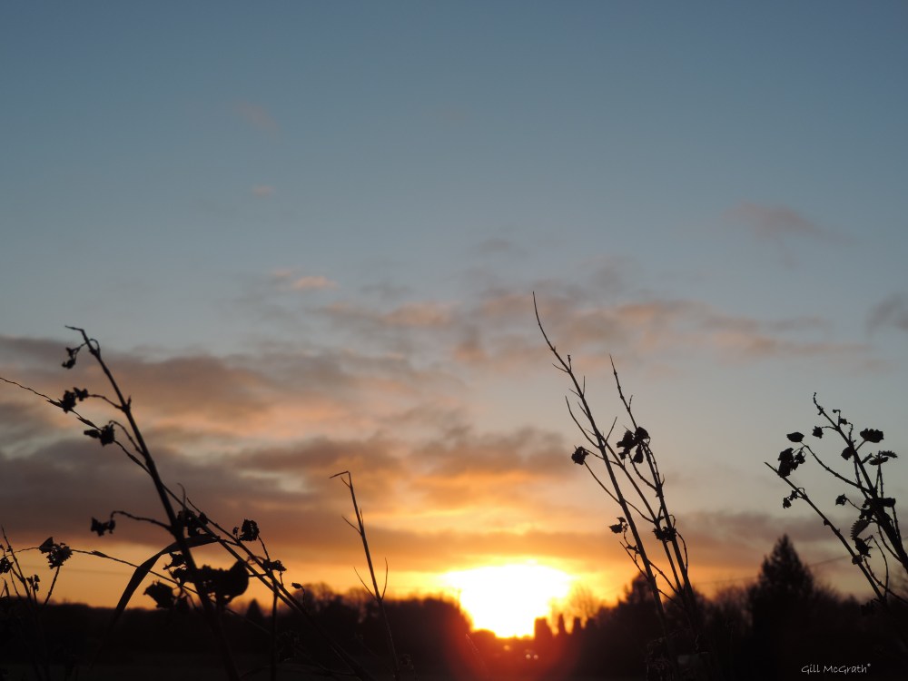 2015 12 04 815 sunrise DSCN1657.jpg sig