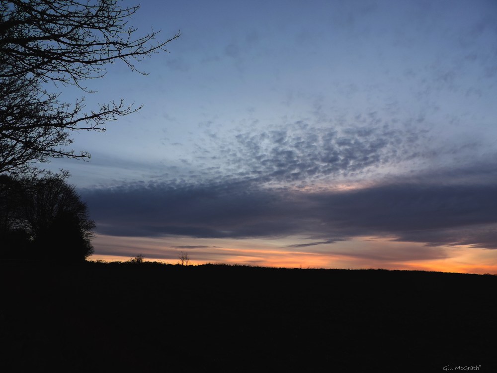 2015 12 09 430 DSCN2021.jpg sig