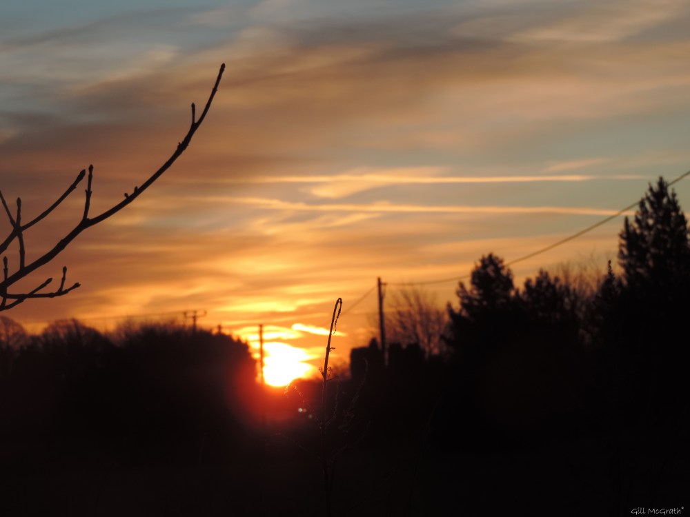 2016 01 13 DSCN3849.jpg sig