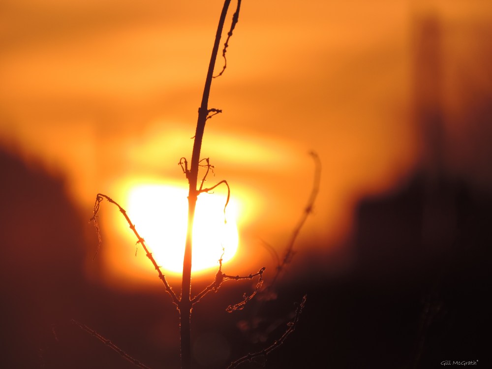 2016 01 13 DSCN3862.jpg sig