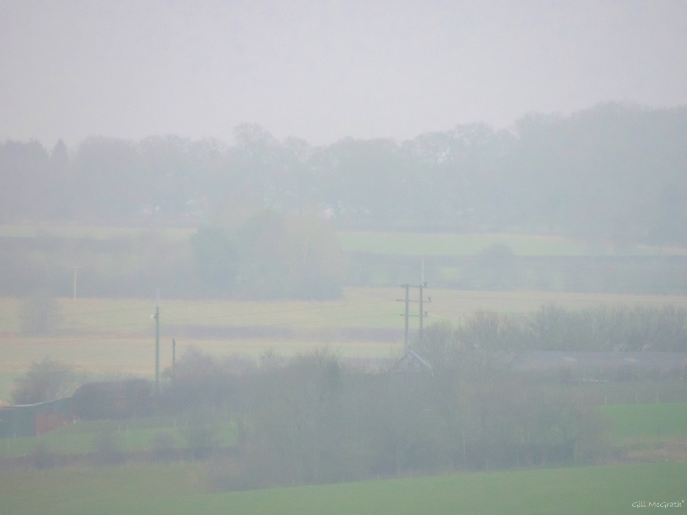 3 2016 01 06  along  top of the other hill DSCN3624.jpg sig