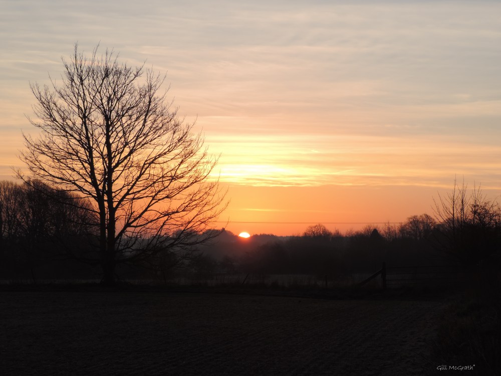 1 2016 02 16 this moorning DSCN5250.jpg sig