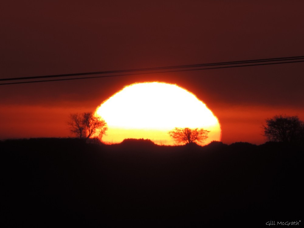 2016 02 29 4 color the morning DSCN0745.jpg sig